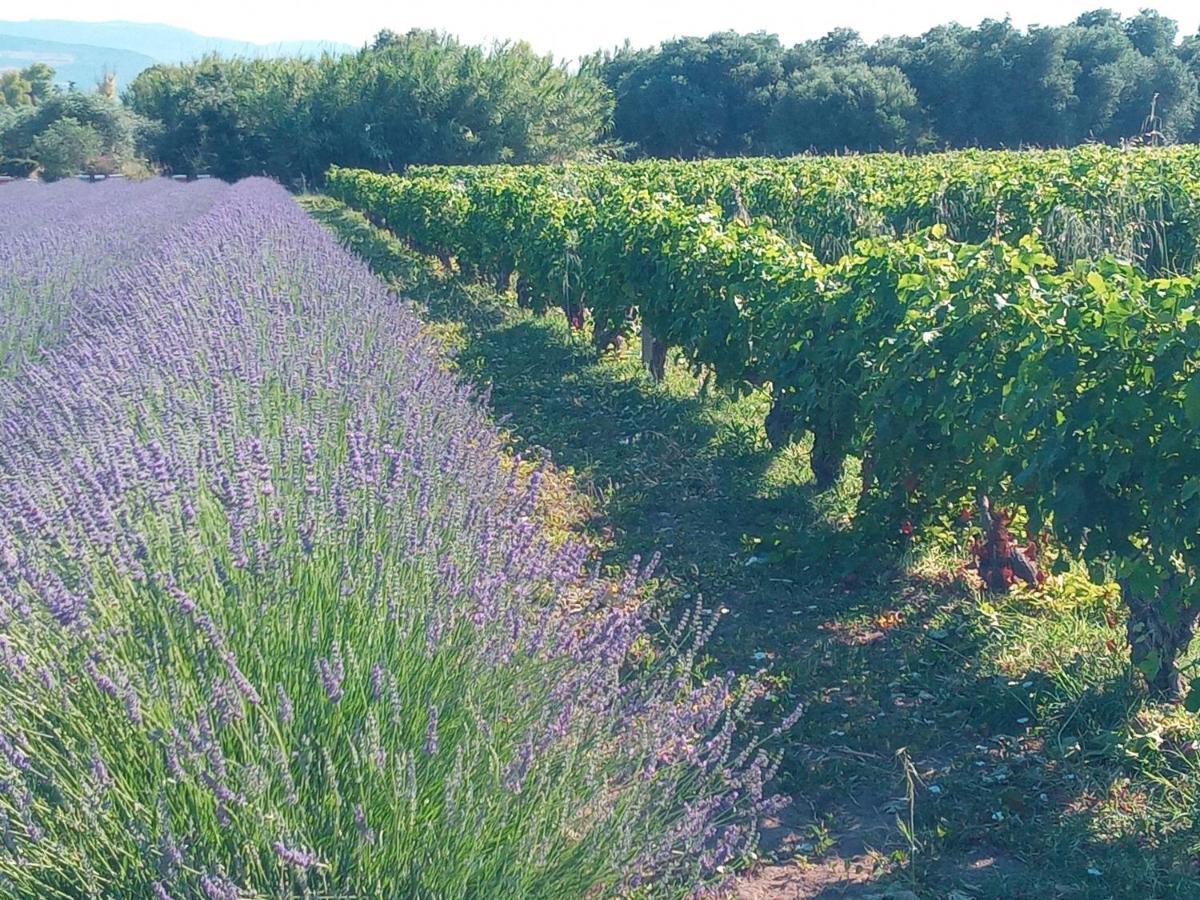 Agriturismo Il Melograno Riola Sardo Buitenkant foto