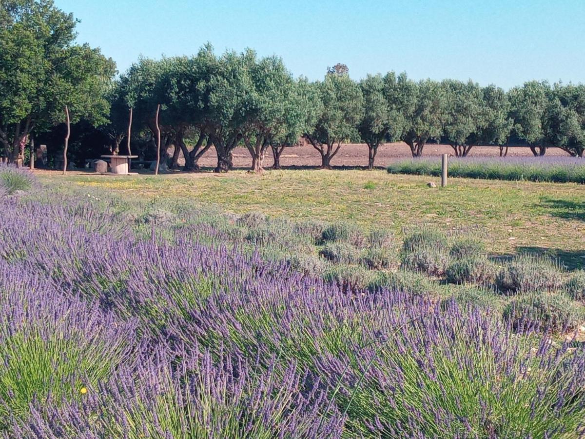 Agriturismo Il Melograno Riola Sardo Buitenkant foto