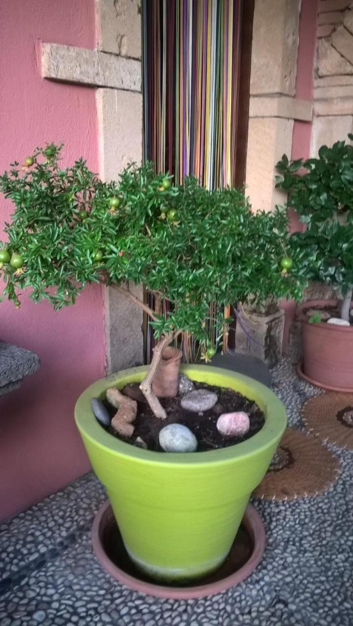 Agriturismo Il Melograno Riola Sardo Buitenkant foto